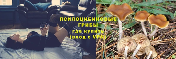 прущая мука Богородицк